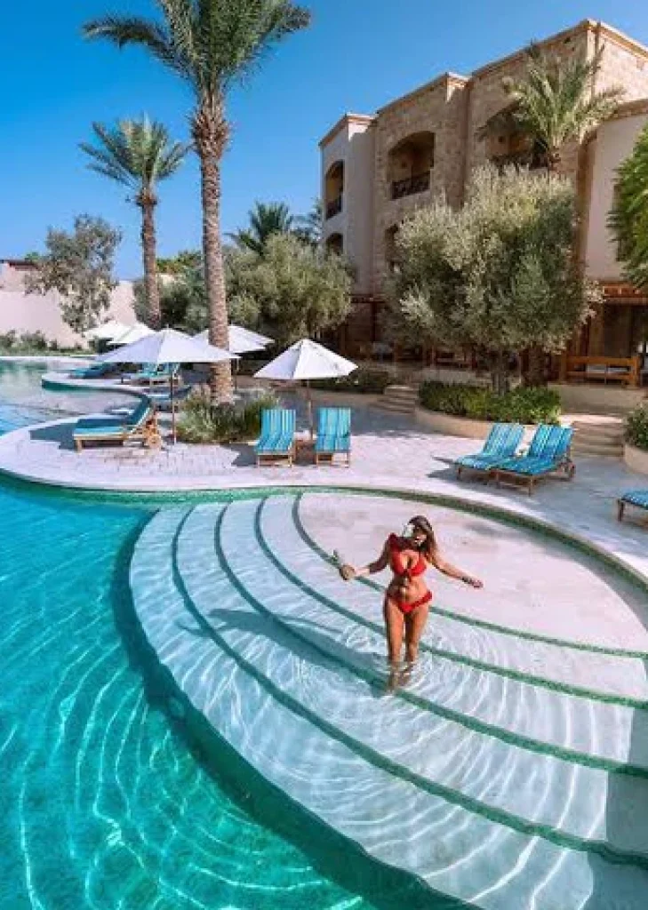 image_d89b821b-72c1-48eb-bfcb-082a7e4aedce